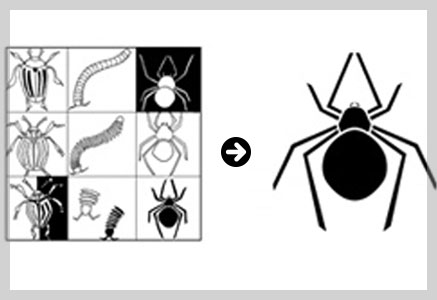 Miniature vectorisation